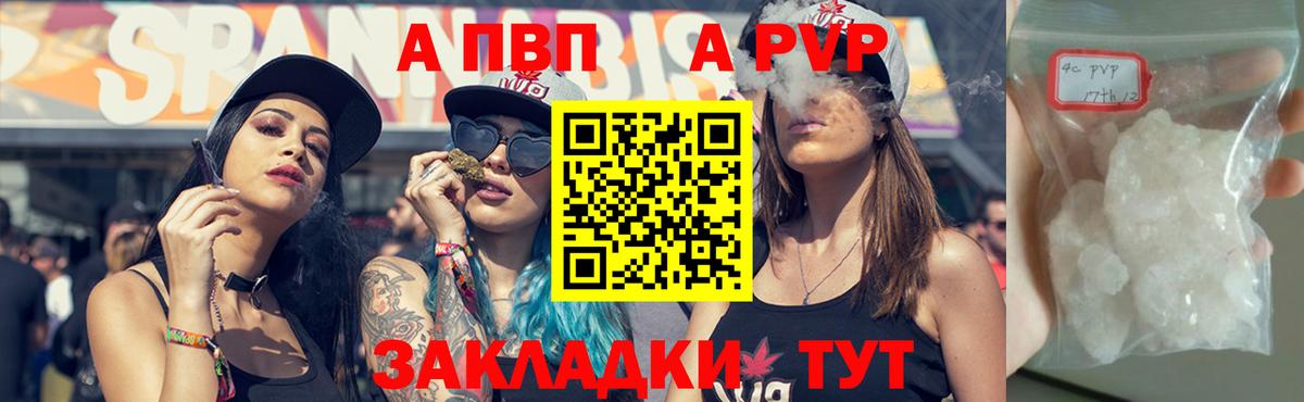 Alpha PVP СК Санкт-Петербург