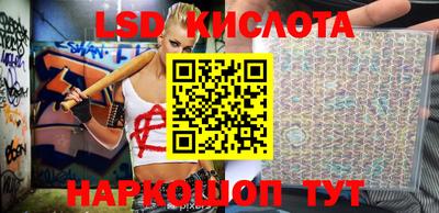 spice Новозыбков